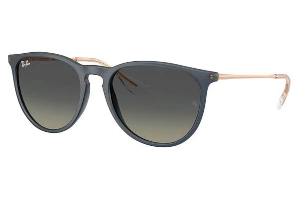 rayban 4171 ERIKA Occhiali da Sole 