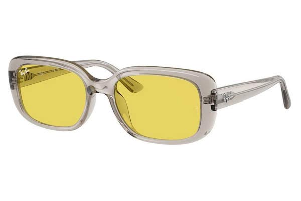 rayban 4421D Occhiali da Sole 