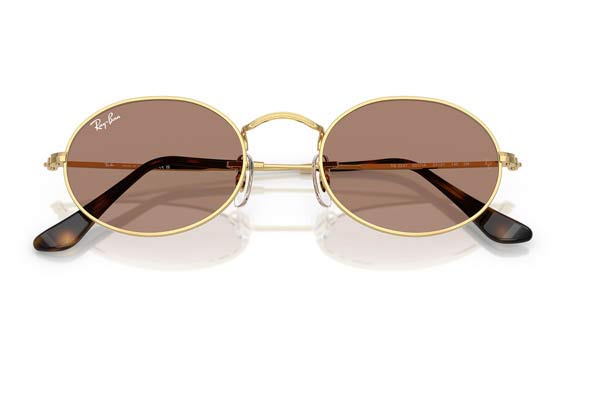 RAYBAN 3547 OVAL Occhiali da Sole 