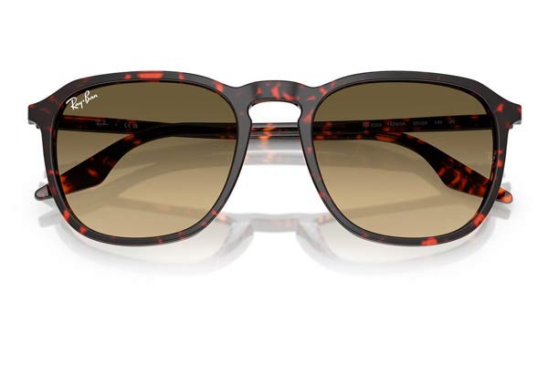 RAYBAN 2203 Occhiali da Sole 