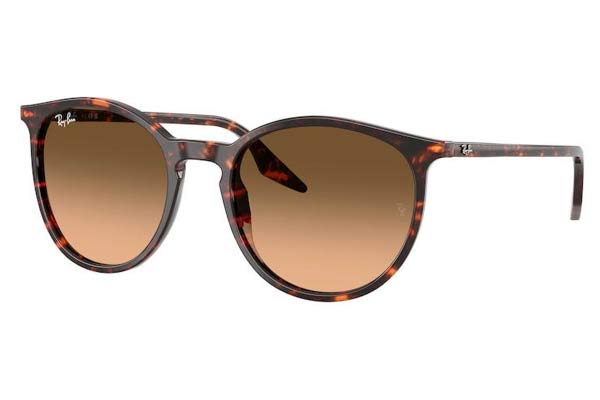 rayban 2204 Occhiali da Sole 