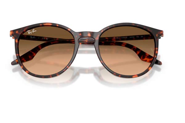 RAYBAN 2204 Occhiali da Sole 