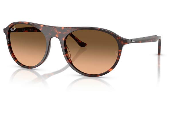 RAYBAN 2215 Occhiali da Sole 