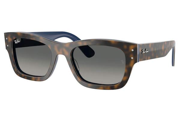 rayban 7683S JOSEPH Occhiali da Sole 