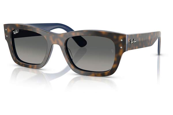 RAYBAN 7683S JOSEPH Occhiali da Sole 