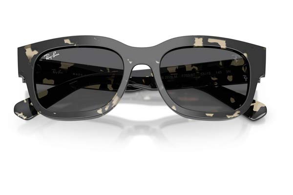 RAYBAN 2228M Occhiali da Sole 