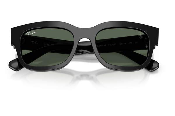 RAYBAN 2228M Occhiali da Sole 