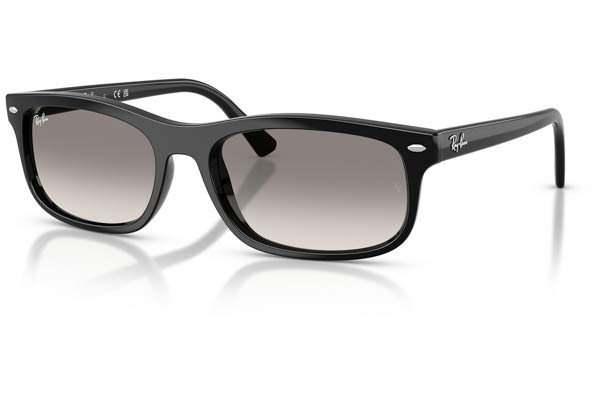 RAYBAN 2224 Occhiali da Sole 