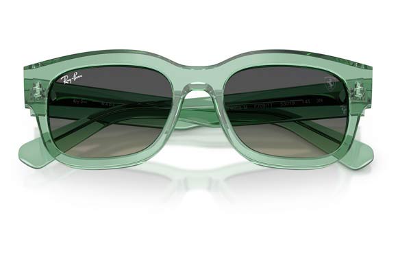 RAYBAN 2228M Occhiali da Sole 