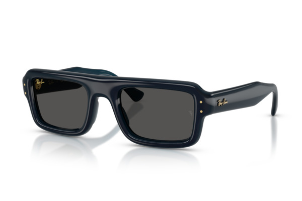 RAYBAN 4954 FLACKO PUFFER Occhiali da Sole 