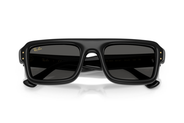 RAYBAN 4954 FLACKO PUFFER Occhiali da Sole 