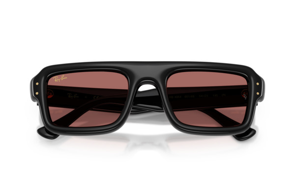 RAYBAN 4954 FLACKO PUFFER Occhiali da Sole 