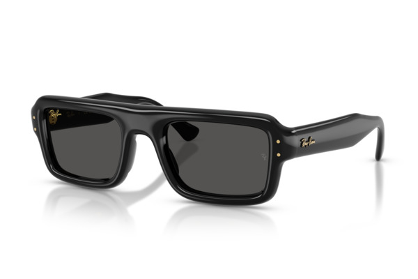 RAYBAN 4954 FLACKO PUFFER Occhiali da Sole 