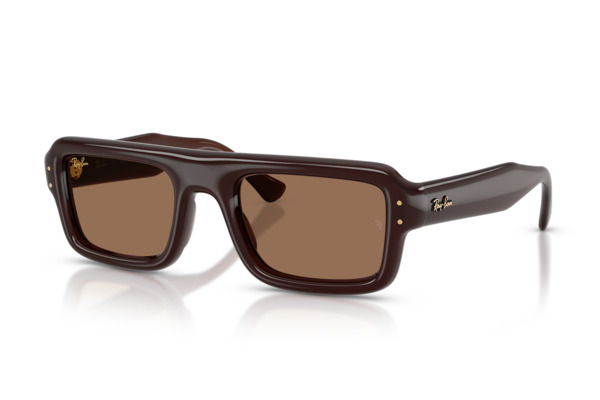 RAYBAN 4954 FLACKO PUFFER Occhiali da Sole 