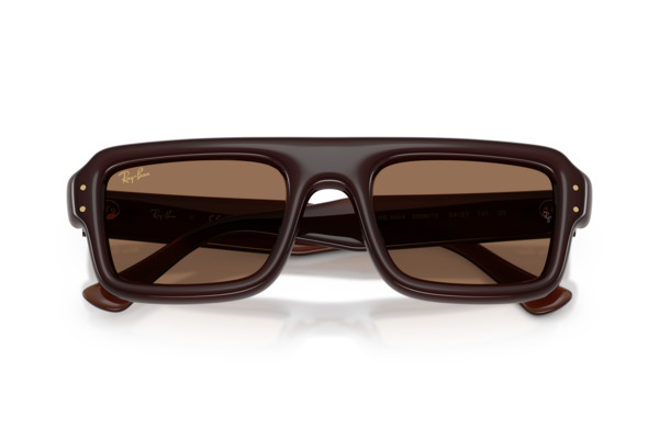 RAYBAN 4954 FLACKO PUFFER Occhiali da Sole 