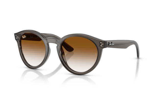 RAYBAN R0505S Occhiali da Sole 