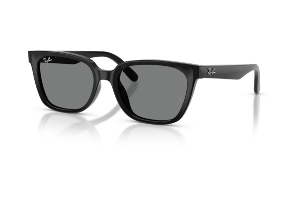 RAYBAN 2243D Occhiali da Sole 