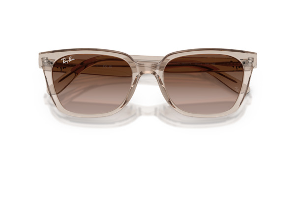 RAYBAN 2243D Occhiali da Sole 