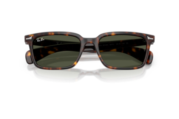 RAYBAN 2234 BRUNEL Occhiali da Sole 