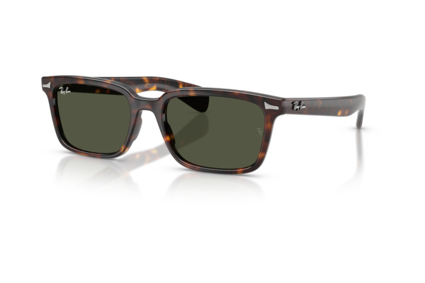 RAYBAN 2234 BRUNEL Occhiali da Sole 