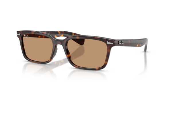 RAYBAN 2234 BRUNEL Occhiali da Sole 