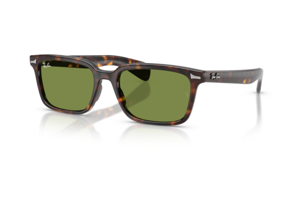 RAYBAN 2234 BRUNEL Occhiali da Sole 