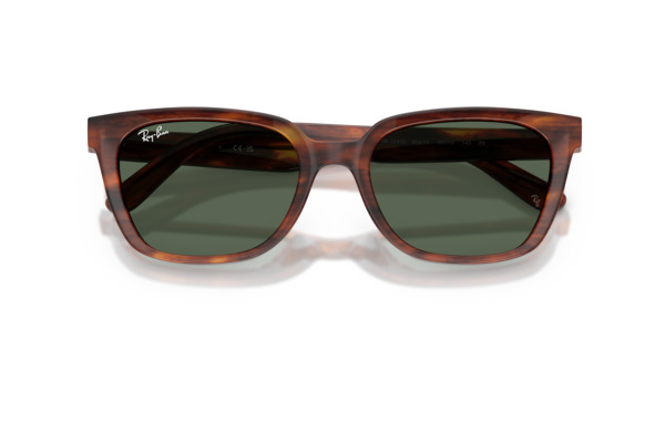 RAYBAN 2243D Occhiali da Sole 