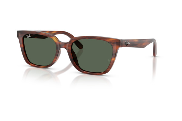 RAYBAN 2243D Occhiali da Sole 