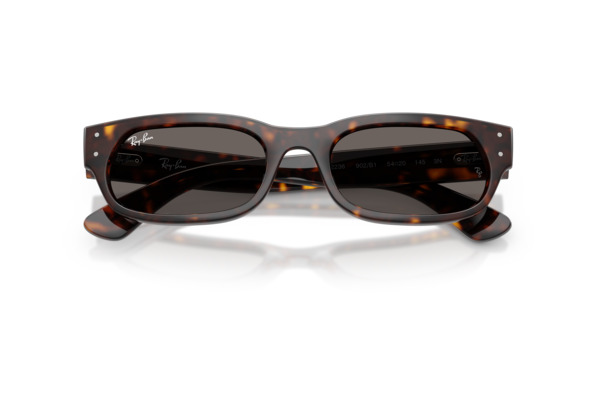 RAYBAN 2236 Occhiali da Sole 