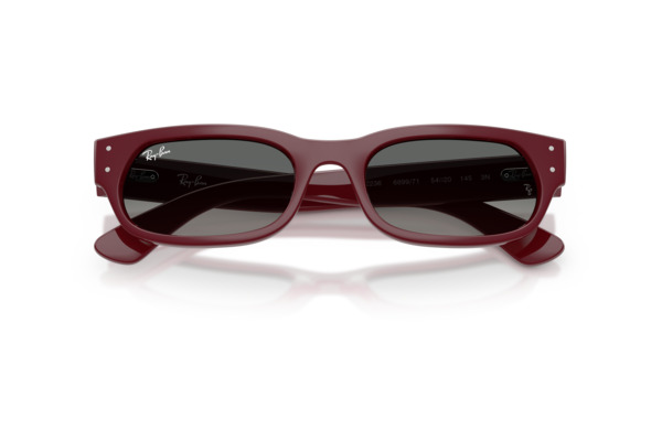 RAYBAN 2236 Occhiali da Sole 