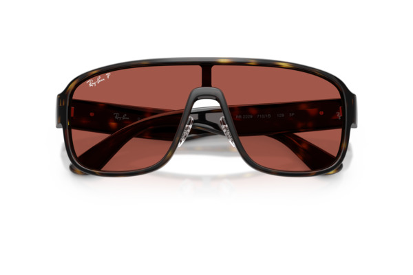RAYBAN 2229 Occhiali da Sole 