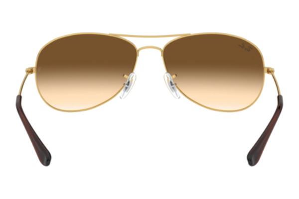 RAYBAN 3362 Cockpit Occhiali da Sole 