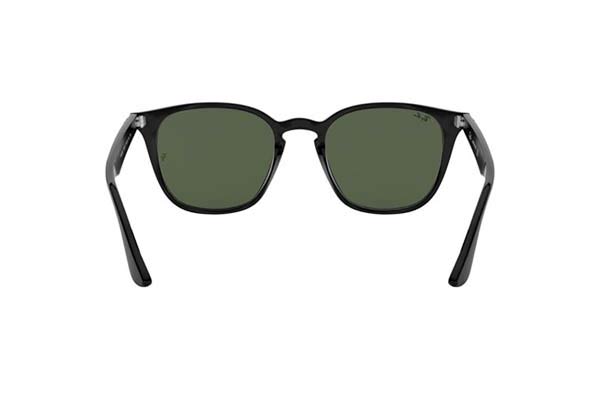 RAYBAN 4258 Occhiali da Sole 