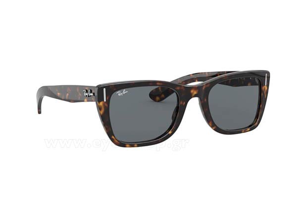 rayban 2248 CARIBBEAN Occhiali da Sole 