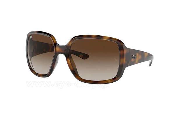 rayban 4347 POWDERHORN Occhiali da Sole 