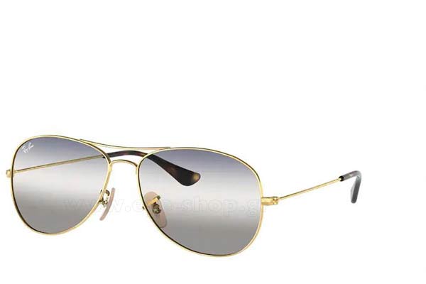 rayban 3362 COCKPIT Occhiali da Sole 