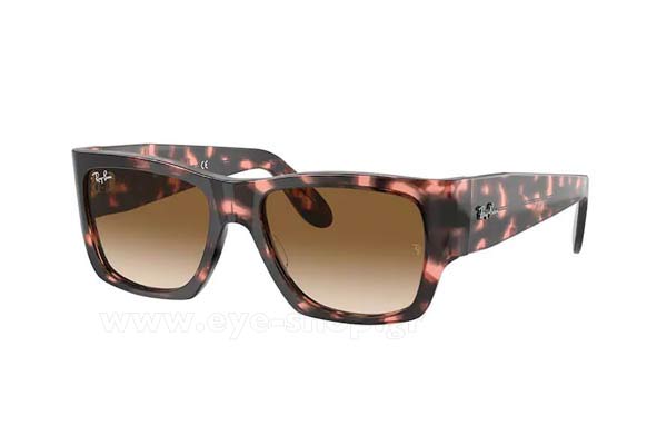 rayban 2187 WAYFARER NOMAD Occhiali da Sole 
