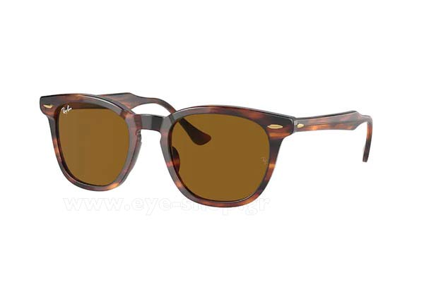 rayban 2298 HAWKEYE Occhiali da Sole 