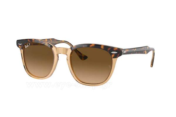 rayban 2298 HAWKEYE Occhiali da Sole 