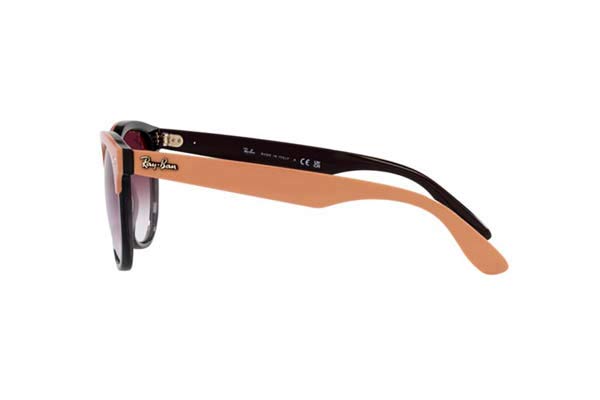 RAYBAN 4471 IRIS Occhiali da Sole 