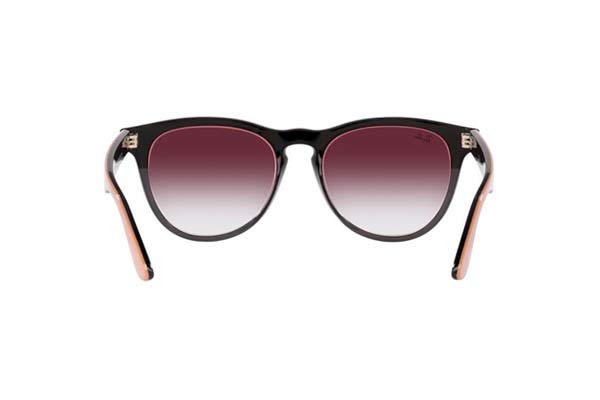 RAYBAN 4471 IRIS Occhiali da Sole 