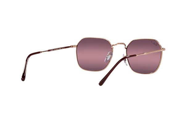 RAYBAN 3694 JIM Occhiali da Sole 