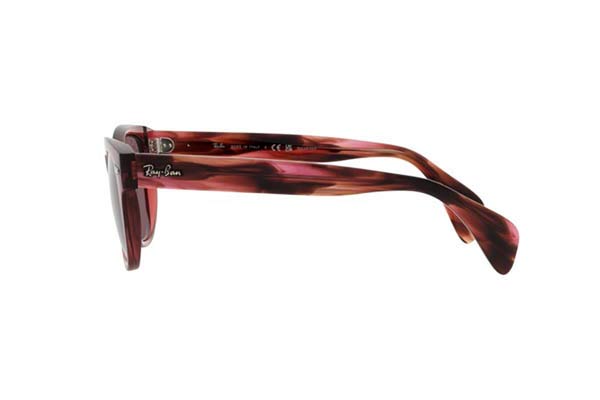 RAYBAN 0880S Occhiali da Sole 