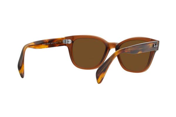 RAYBAN 0880S Occhiali da Sole 