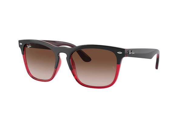 rayban 4487 STEVE Occhiali da Sole 