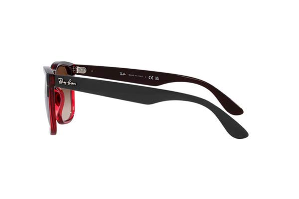 RAYBAN 4487 STEVE Occhiali da Sole 