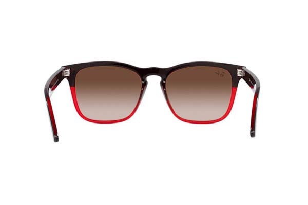 RAYBAN 4487 STEVE Occhiali da Sole 