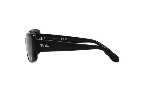 RAYBAN 4389 Occhiali da Sole 