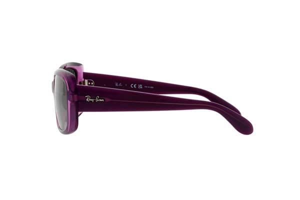 RAYBAN 4389 Occhiali da Sole 
