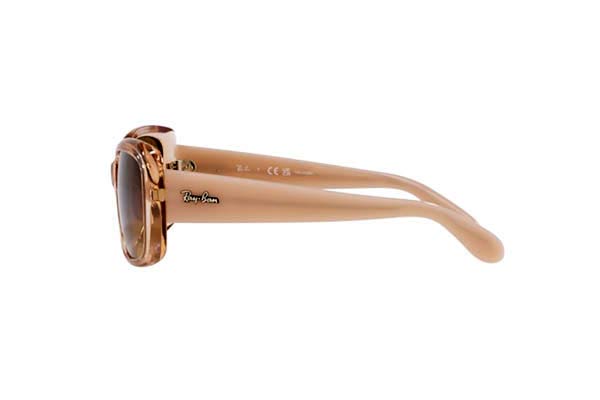 RAYBAN 4389 Occhiali da Sole 